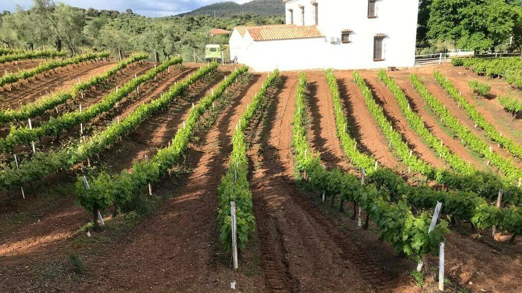 Serbiotec-bacterias-agricultura|Serbiotec-bacterias-agricultura